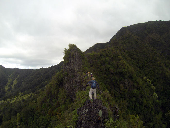 Hiking Bolohead Ridge to Kaala to Tiki Ridge 