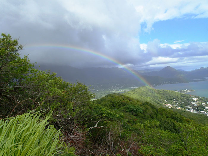 Hiking Pu'u Ma'eli'eli (Digging Hill)