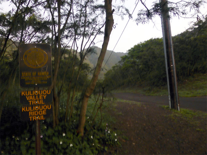 Hiking Kuli'ou'ou West Ridge to Hahaione Trail