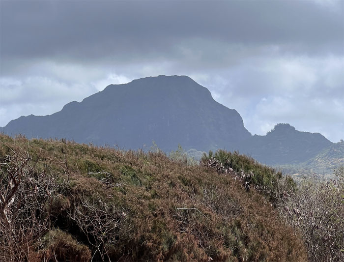 Hiking Haupu Loop