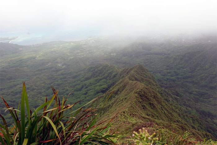 Hiking Waiahole Middle (Windward) to Kipapa Trail