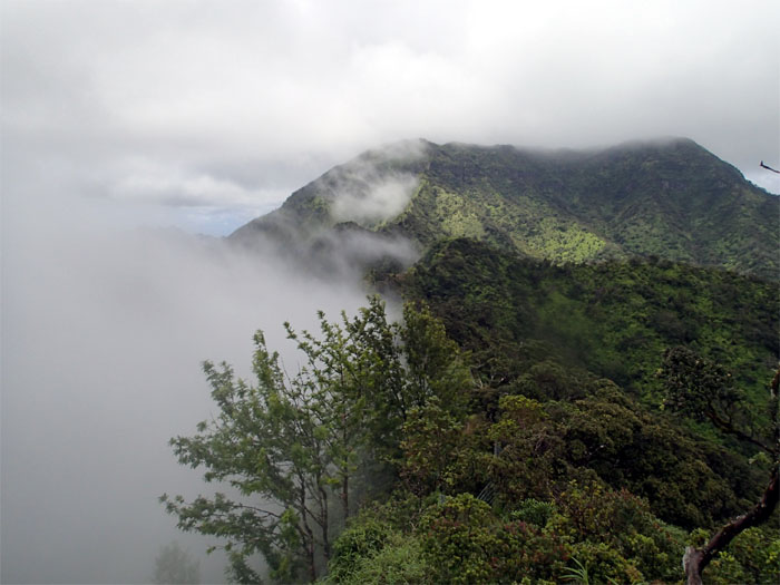 Hiking Mount Ka'ala to Kolekole Pass