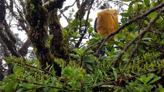 Hiking Kaena Point to Schofield Barracks