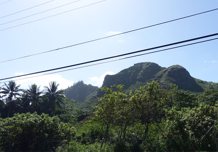 Hiking Kaipapau Bunkers