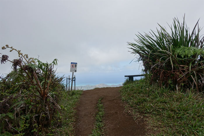 Hiking Kalani Ridge to Wiliwilinui Ridge