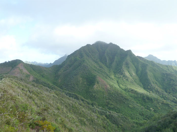 Hiking Pu'u Kalena