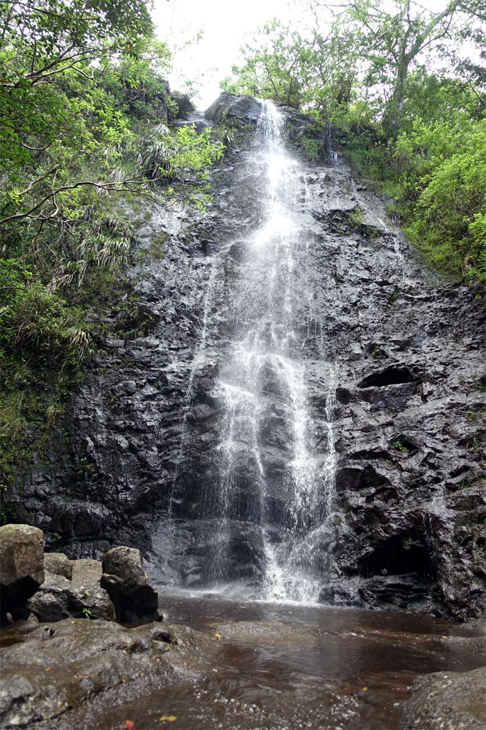 Hiking Ka'au Crater Loop