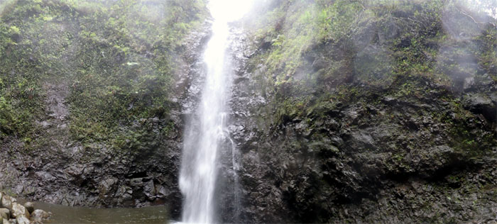 Hiking Kaipapau Gulch Falls