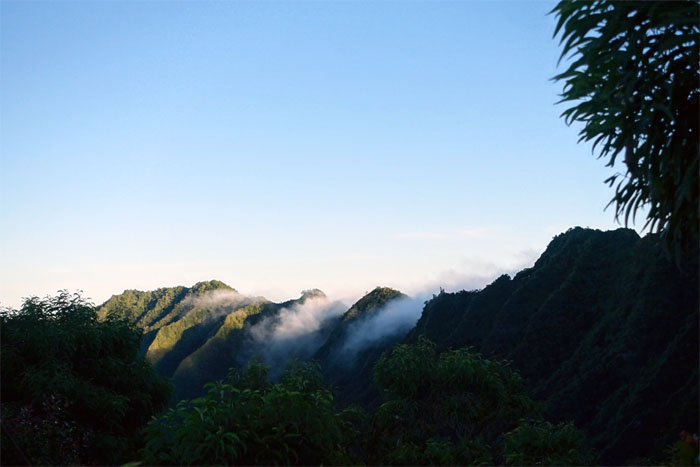 Hiking Mount Ka'ala to Kamaohunui Ridge to Waialua 
