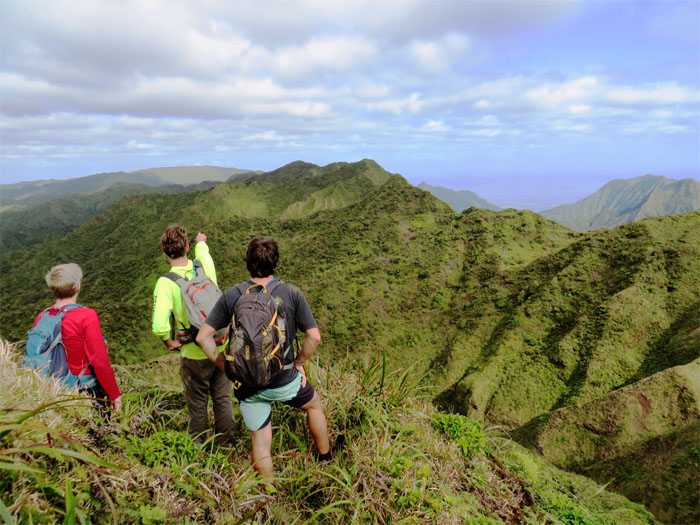 Hiking Waiahole Uka to Kipapa Ridge