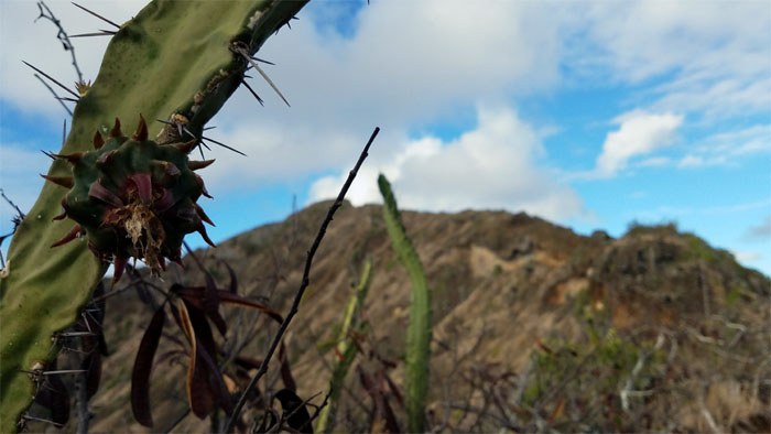 Hiking Koko Crater Rim to Arch