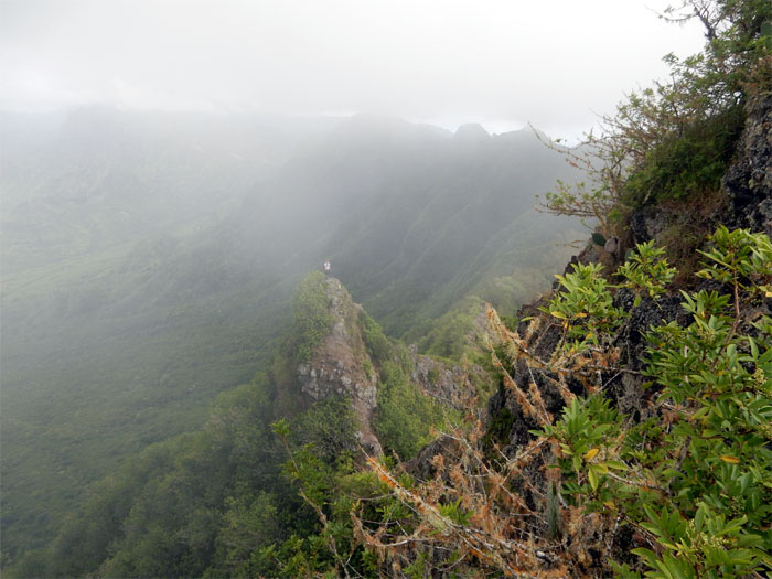 Hiking Pu'u Kaua to Kolekole Pass