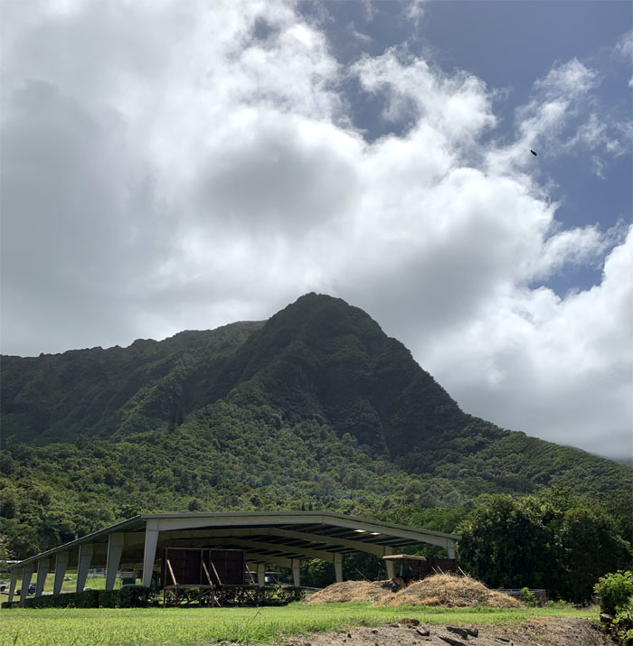 Hiking Pu'u O Kona to Bear Claw Left Fork 