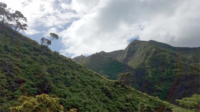 Hiking Kulana'ahane to Moanalua Middle Ridge