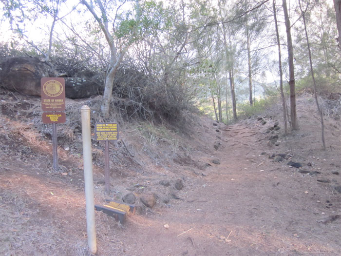 Hiking Hawaii Loa Ridge