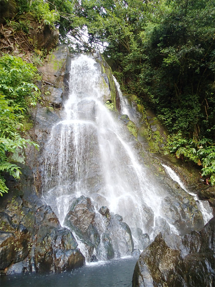 Hiking Luakaha and Likeke Falls 