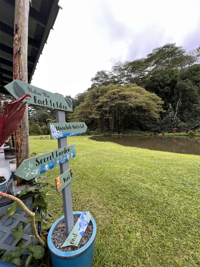 Hiking Pu'u Maikikiki