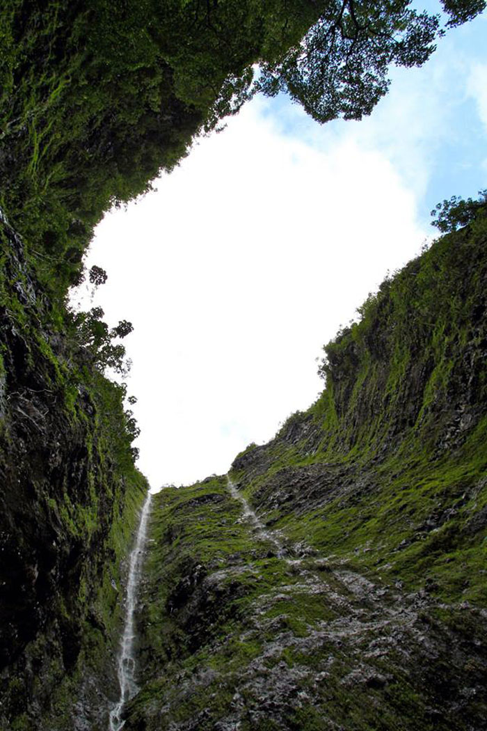 Hiking Makaua Falls