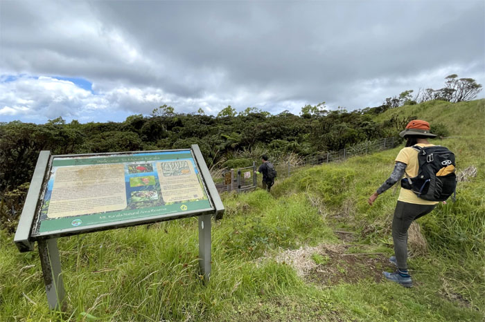 Hiking Mokuleia to Mount Ka'ala