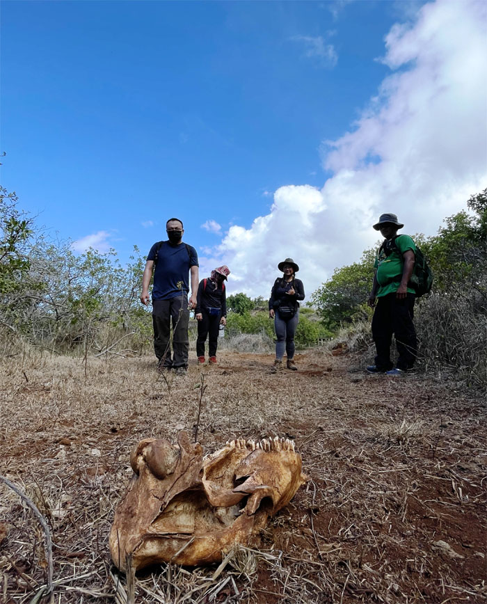 Hiking Mokuleia to Kaena Point