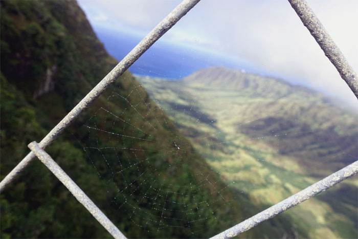 Hiking Mokuleia Trail to Upper Makua Cave