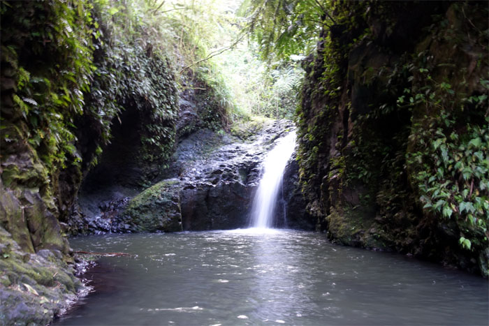 Hiking Maunawili Falls and Moss Slides
