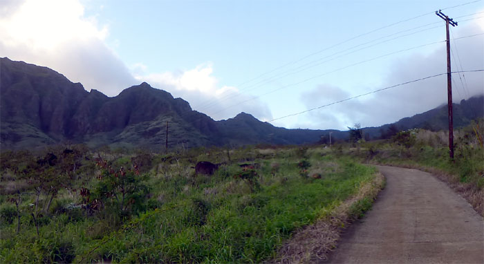 Hiking Pu'u Kawiwi to No Name Peak to Ka'ala Trail