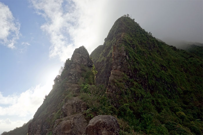 Hiking Pali Notches to Manoa Falls ( Konahuanui Windward Scout )