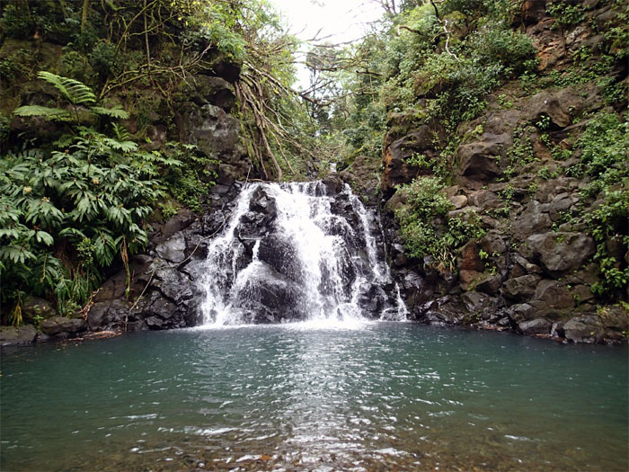 Hiking Naohia Falls and Pali Puka 