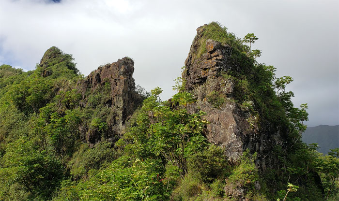 Hiking Pu'u Piei Makai CCW