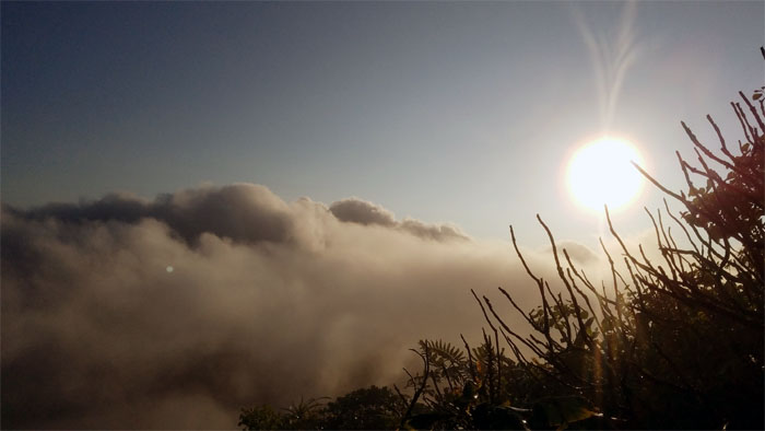 Hiking Piliwale Ridge to Pali Lookout