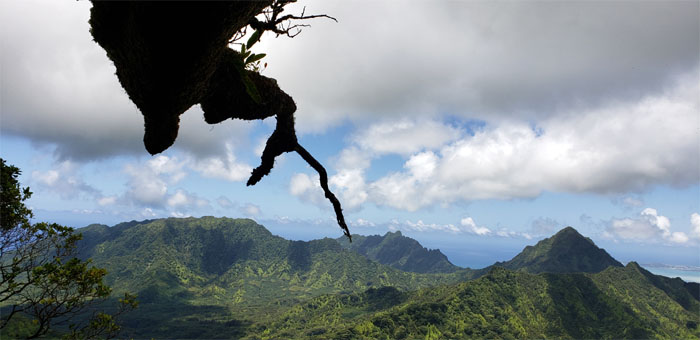 Hiking Poamoho Trail to Kahana Valley