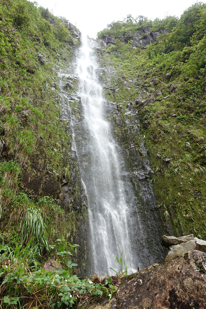 Hiking Pueo Falls