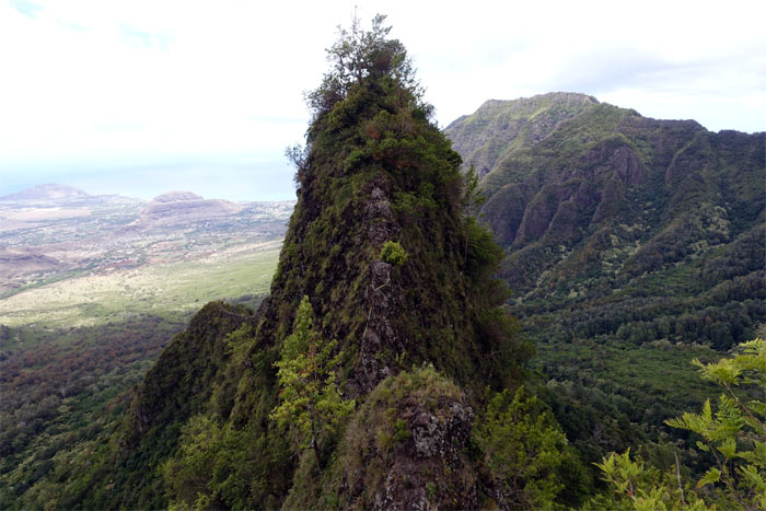 Hiking Reverse Bolohead Ridge