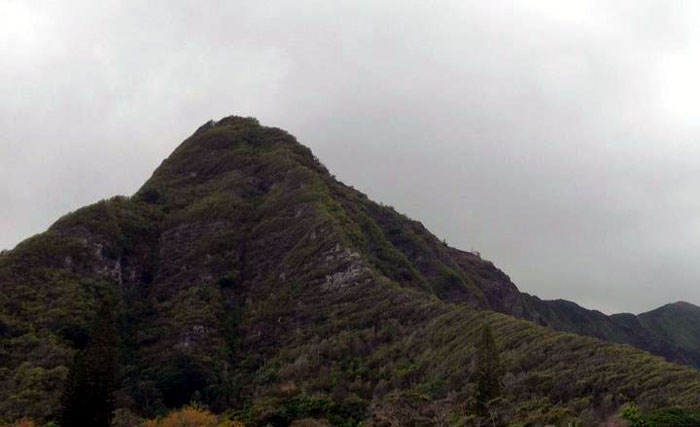 Hiking Bear Claw Right Fork