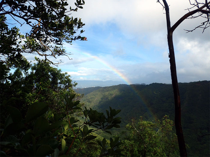 Hiking Tripler Ridge to Bowman Trail