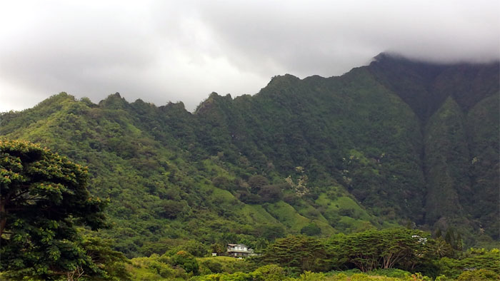 Hiking Ulimakoli Ridge ( Eleao Windward ) to Manana Ridge