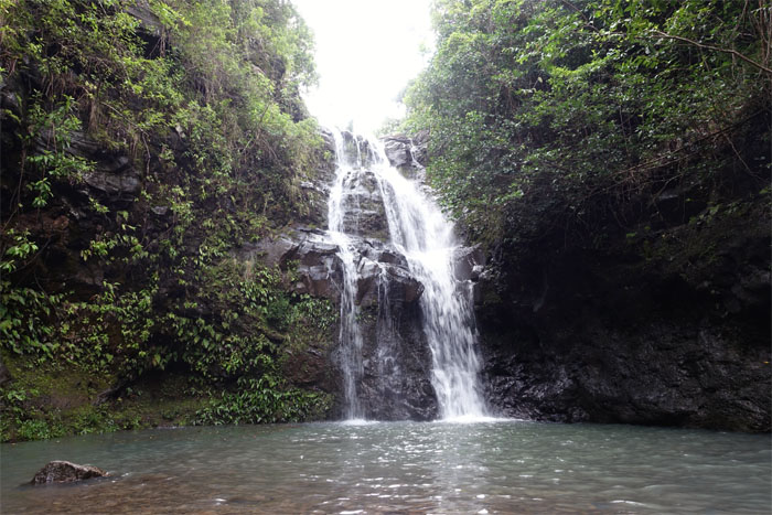 Hiking Waimano Falls