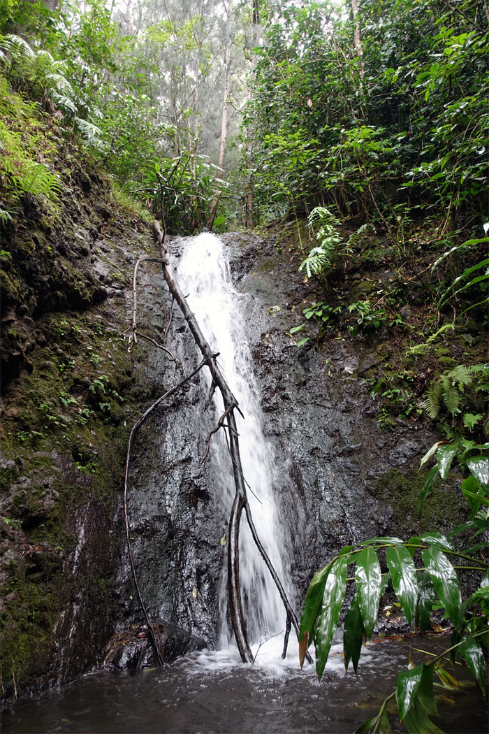 Hiking Waianae Water Works