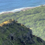 Thumbnail image for Kea’au Middle Ridge to Dragonfly Ridge
