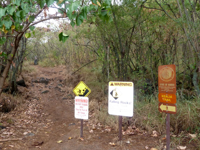 Kealia Trail
