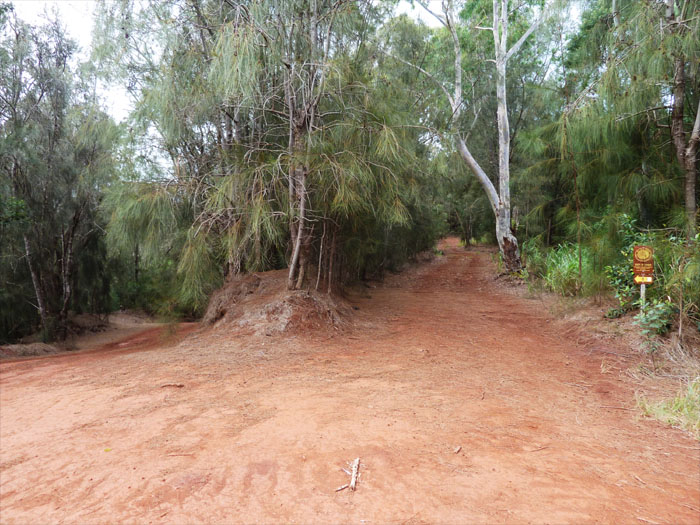 Kuaokala Trail