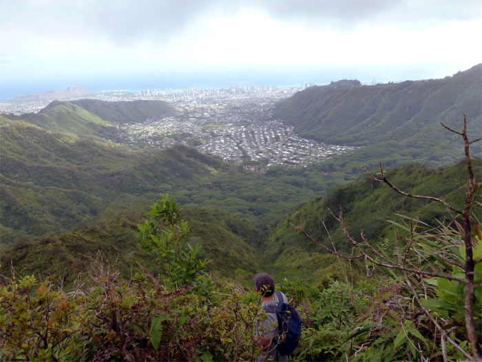 Headed down the Manoa Middle Trail