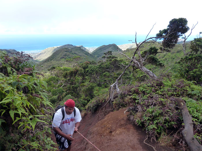 Going up Hawaii Loa Ridge
