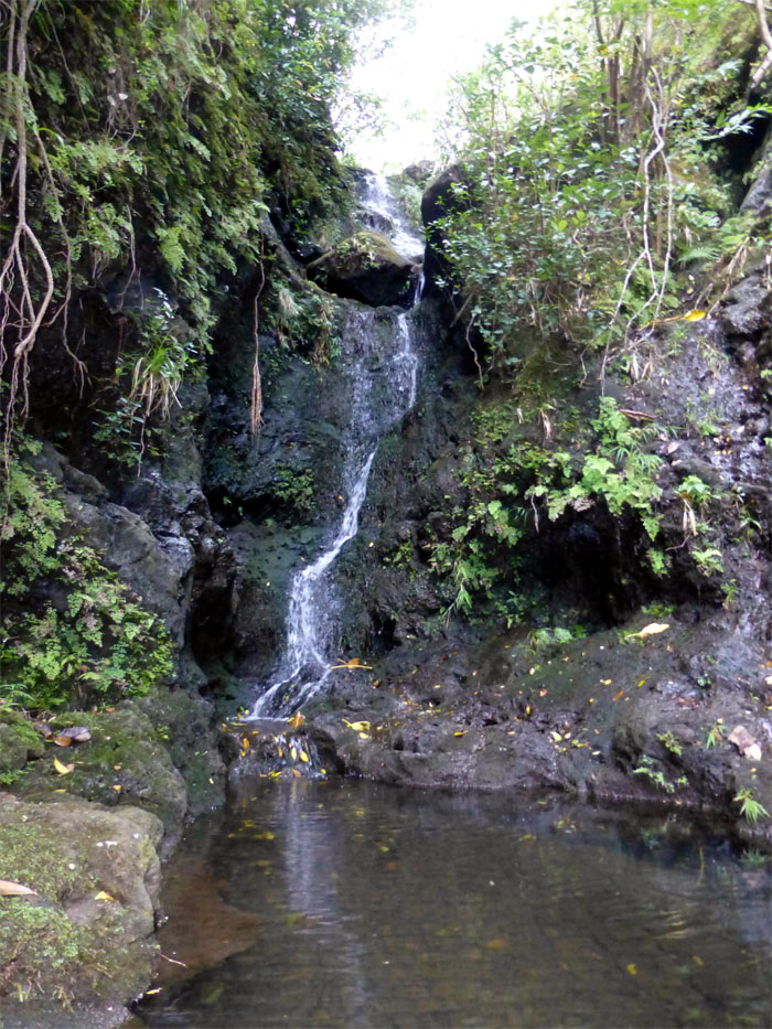 Waterfall #6
