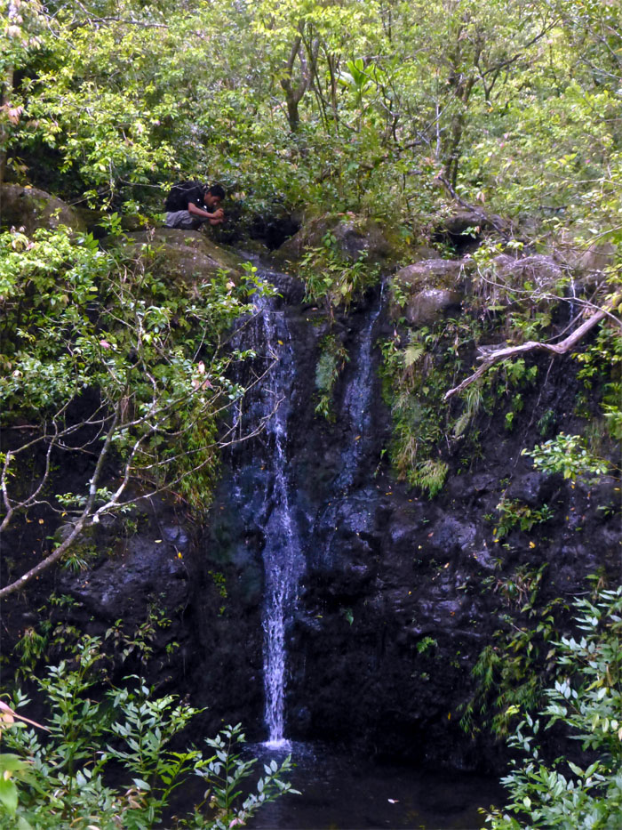 Waterfall #3