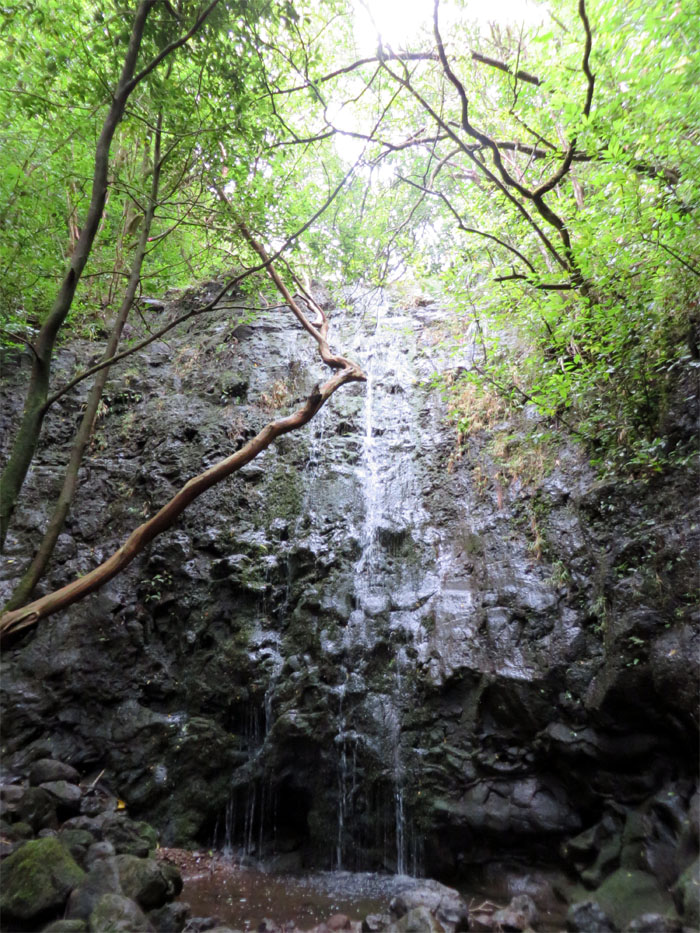 Waterfall #4