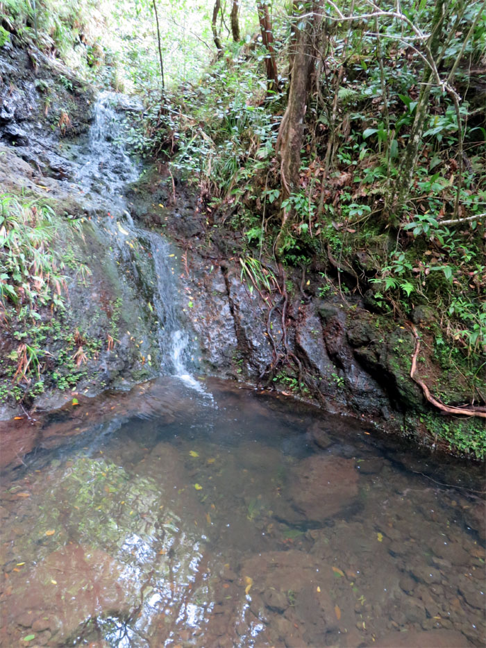 Waterfall #5