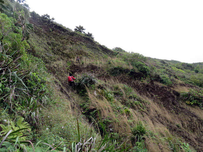 Big landslide