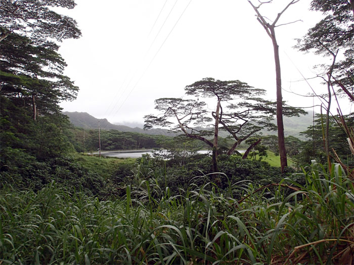 Waimanalo reservoir